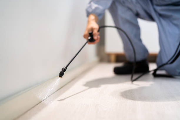 Rodent Entry Point Assessment in South Nyack