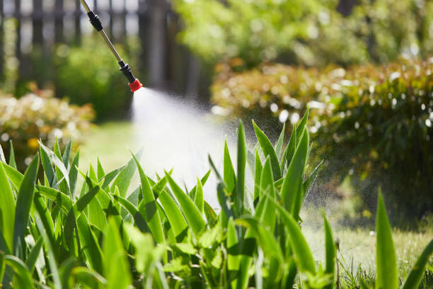 Tamper-Resistant Bait Stations for Rodents in South Nyack