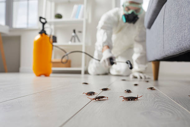 Commercial Rodent Management in South Nyack